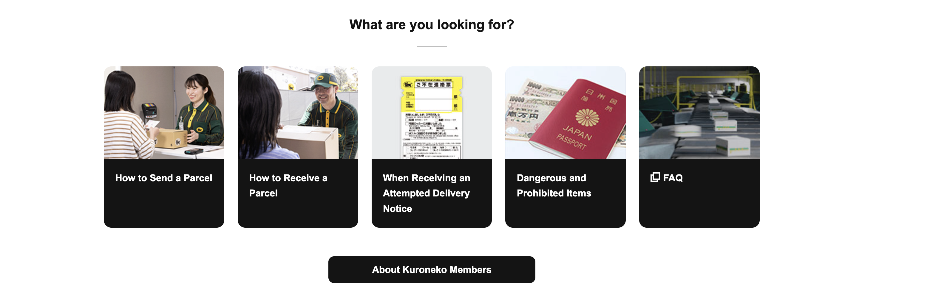 Rota Optimizasyonu Ekranı